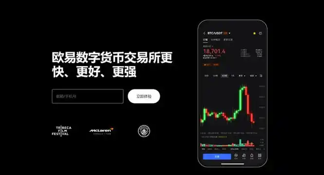 OKX官网平台展示图
